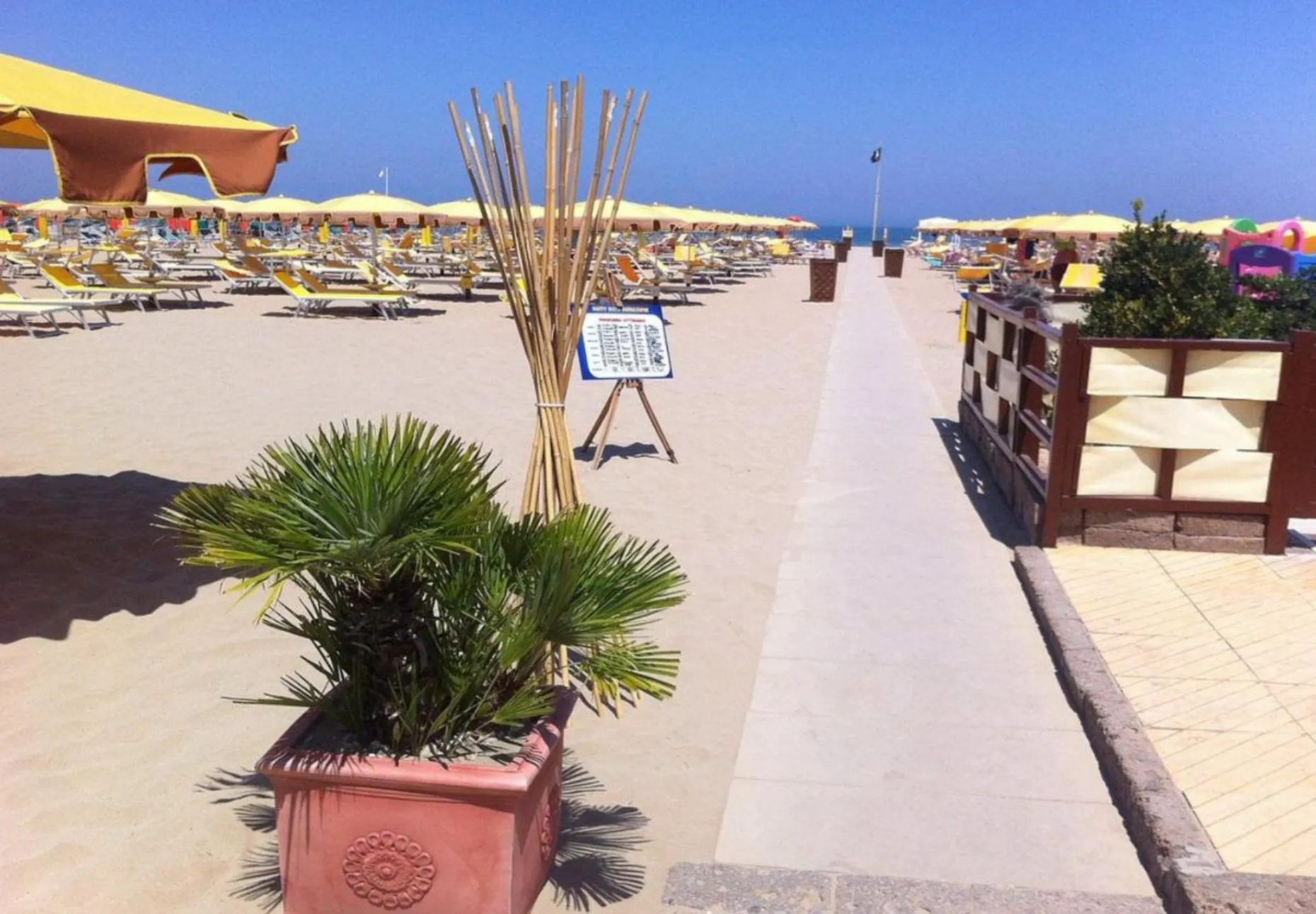 Wspinaczka po drzewie