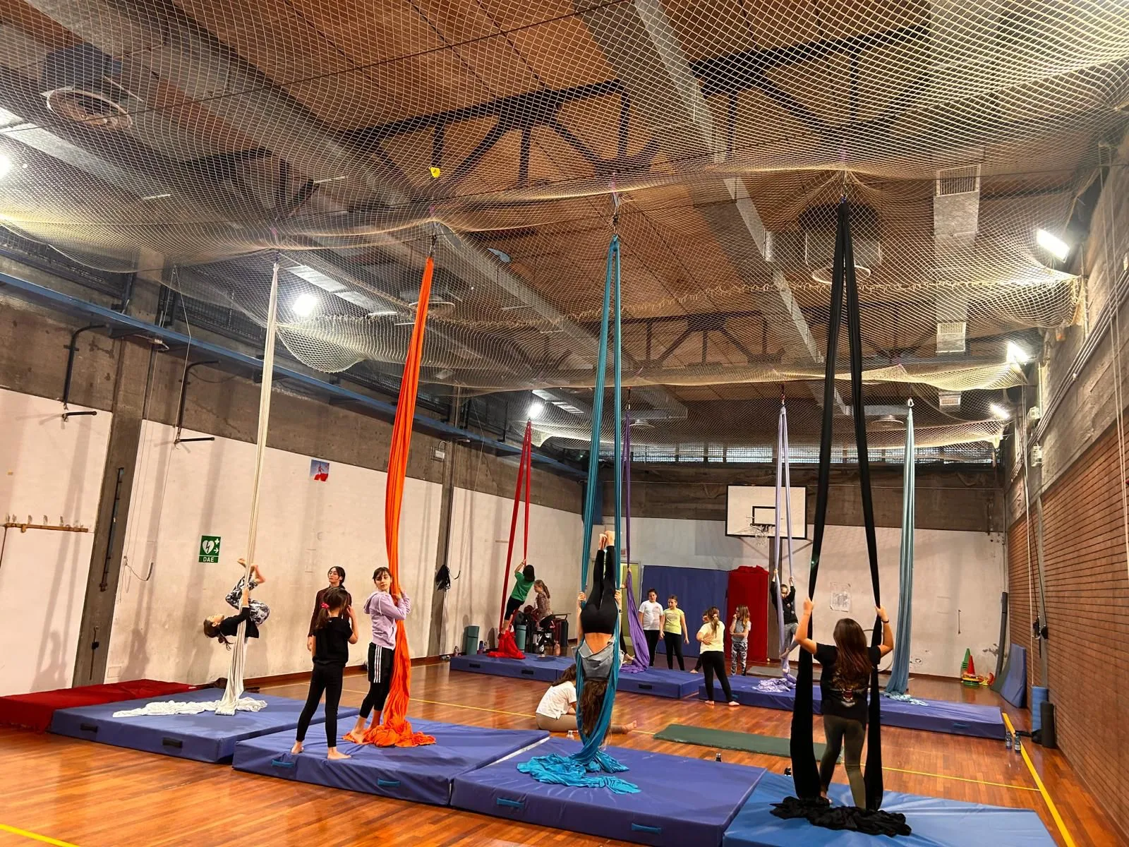 Dzieciak w parku linowym